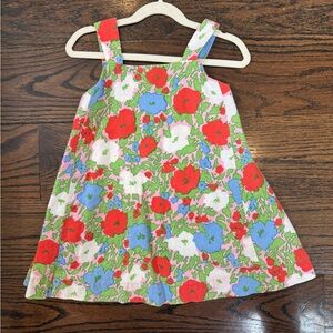 Crewcuts Floral Dress with Red and Blue Accents